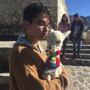Manuel Cerda with a llama