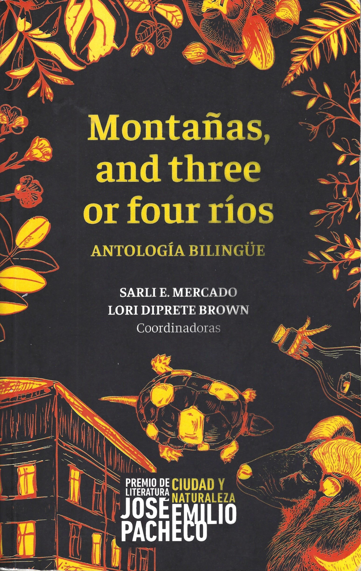 Montañas and three or four ríos